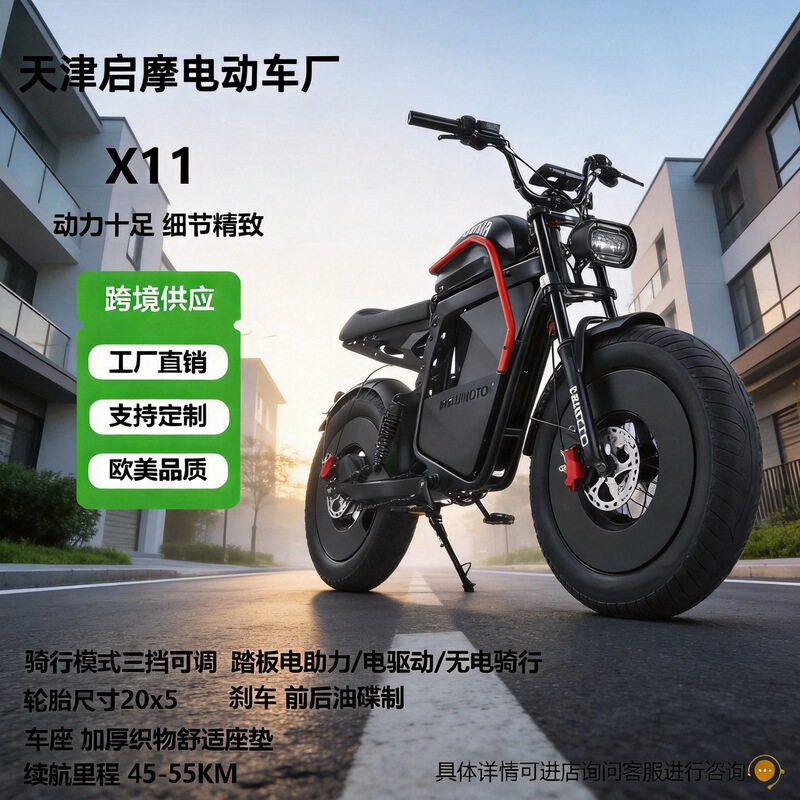 Black Warrior Himoto Electric Bicycle with Wide Wheels and Fat Tires, Pedal-Assisted Bike for European Commuting