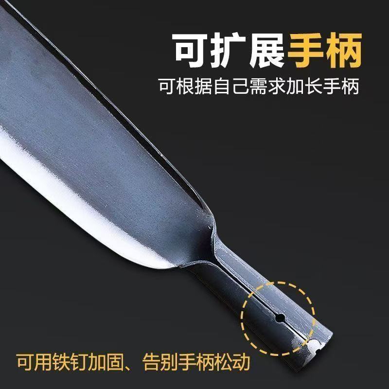 微信图片_202504220935183.jpg