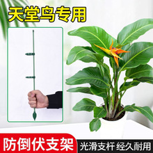 ֧�ΗU�����B֧�܈@ˇ��֧���F�z���ٻ��܊A�ӹ̶�ֲ����m