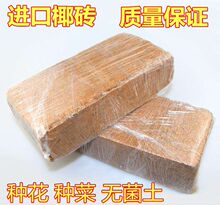 �M��Ҭ�uҬ��Ҭ��Ҭ�۴u650g�N�˷Nֲ���o���m�����I�B�������|��