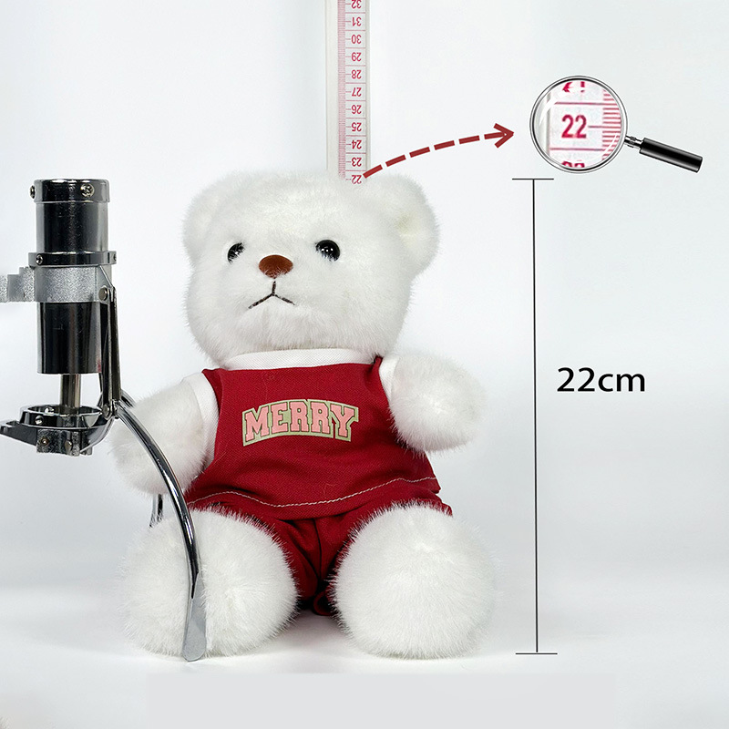 Nueva ropa deportiva, muñecos de oso, regalos de la temporada de graduación, juguetes de peluche, trajes de maestría, muñecos de oso, regalos conmemorativos