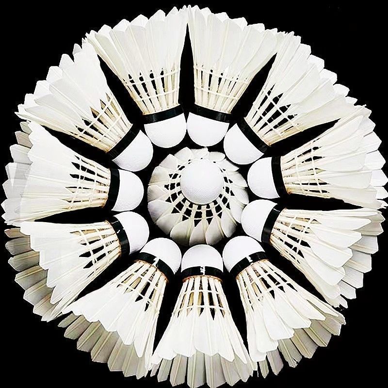 바이유 [업그레이드된 내구성왕] 12개입