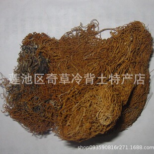 ��z��,�e��,������,��ș�����}��ֲ��G��l�Ľz���w,