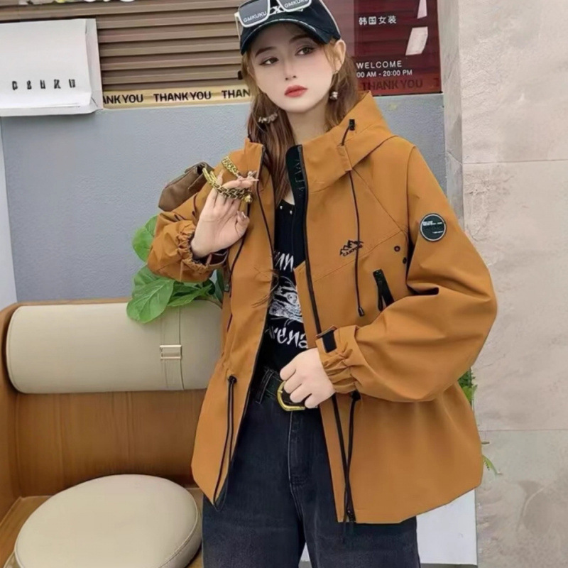 2025 New Korean Style Loose Hooded Jacket Women's Spring & Fall Casual Versatile Jacket Waist Windbreaker