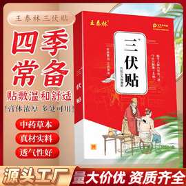抖快热卖三伏贴批发儿童穴位贴夏伏贴温灸自发热膏药贴春夏养阳品