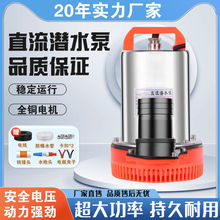 ֱ����ˮ��48v60v72v����24��ͨ���ƿ܇����С�ʹ�����12v��ˮ��