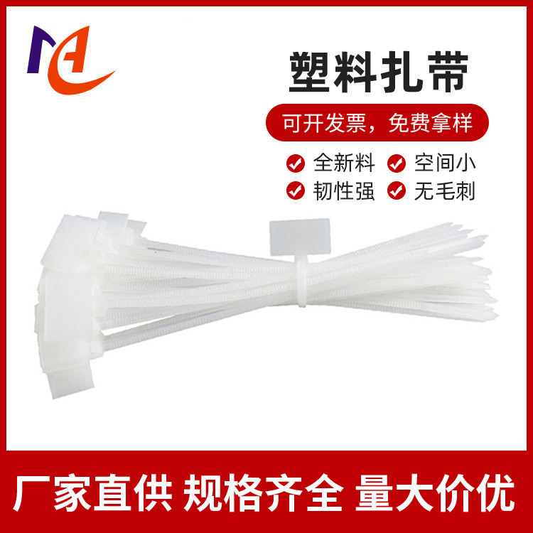 供应2.5*100标牌扎带物流封签吊牌锁扣 防拆标牌塑料扎带