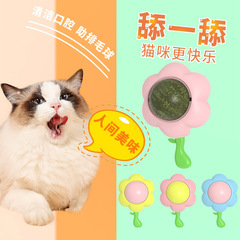 Catnip ball cat toy self-entertaining cat pet supplies anti-boredom cat wand kitten kitten teeth grinding stick licking toy