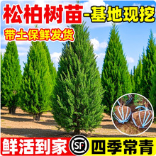 �ؘ���� ���� ����ɰ؂Ȱؘ���A���ɘ䌚����������G���ļ���