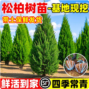 �ؘ���� ���� ����ɰ؂Ȱؘ���A���ɘ䌚����������G���ļ���