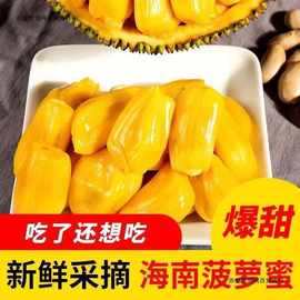 现摘 当季海南黄肉菠萝蜜新鲜热带水果干包波罗蜜黄心一整个批发