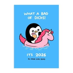 跨境新品Funny Calendar For 2026年日历风趣幽默直白坦诚的日历