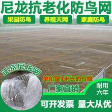 大棚尼龙线防鸟网养殖天网葡萄园樱桃园果园果树防鸟用网鱼塘丝网