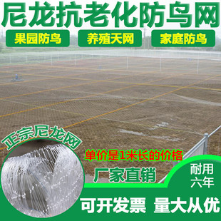 Greenhouse Nylon Line Anti-Bird Net Breeding Sky Net Vineyard Cherry Orchard Orchard Fruit Tree Anti-Bird Net Fish Pond Wire Mesh