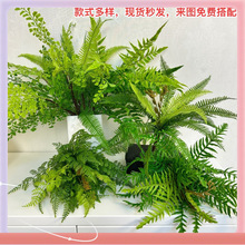 ?�~�Ӽٻ��b����ϼҾӾGֲ���~�ָ������҃���Ĳ廨�ݿ͏d