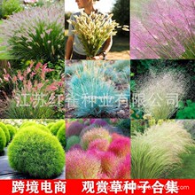 �^�p�ݷN�Ӻϼ��{��é��β����y�Ӳ��M�ڶ������ļ��ͺ���������