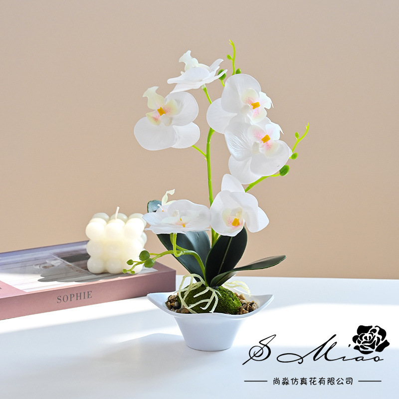 Nueva Phalaenopsis Bonsai de tres horquillas flor artificial decoración creativa Planta artificial suministro directo de fábrica de una sola pieza entrega image 3