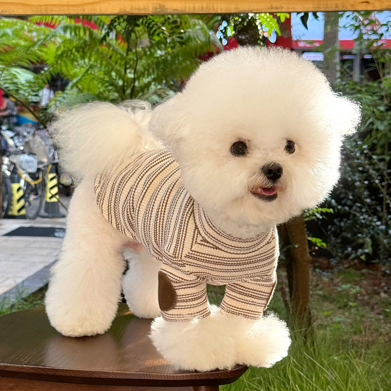 狗狗衣服秋季泰迪比熊博美约克夏雪纳瑞贵宾小型犬宠物打底衫秋天|undefined