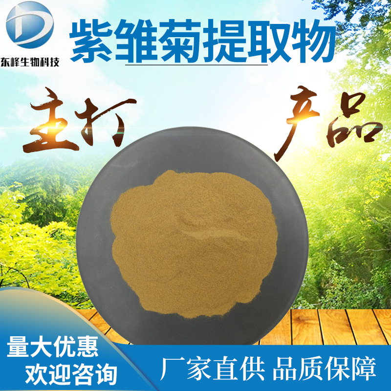 紫锥菊提取物 紫锥菊多酚4% 食品 饲料级 源头货源 紫雏菊粉 现货