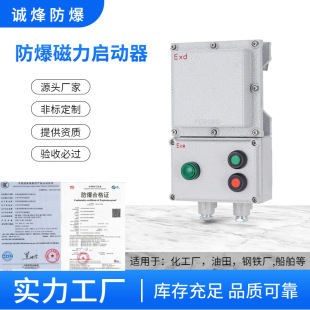 Motor Control Cabinet 380V Electromagnetic Starter Bqc Water Pump Fan Grinding 32A Distribution Cabinet Distribution Box