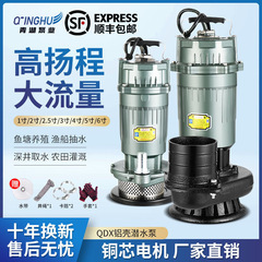 台州清湖水中ポンプ 220V380V 清水ポンプ農業灌漑ポンプ家庭用大流量高揚程ポンプ