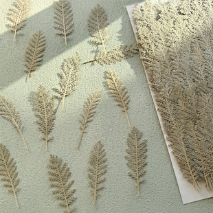 �y�� �ɻ��������~��ֲ��˱� Ѻ��̨������ֲ������ك��ֹ�diy