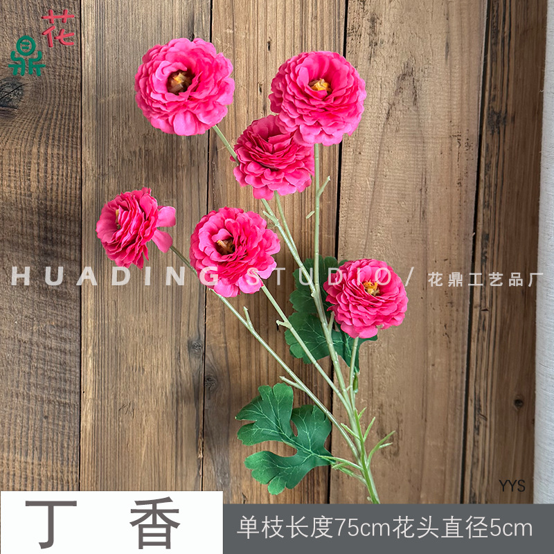 라일락 YYS 로즈 레드