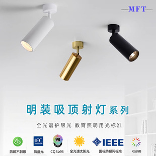 led surface mounted spotlight anti-glare adjustable ceiling type headless Lamp Exhibition Hall home living room Golden Universal track spotlight