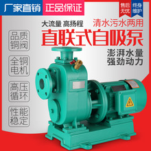 BZ直连式自吸清水泵大流量自吸排污泵高杨程卧式抽水泵