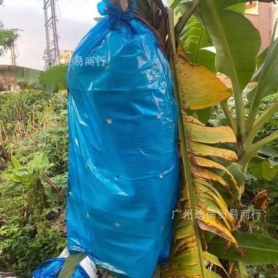 香蕉套袋香蕉套袋有孔无孔防寒防虫防紫外线蓝色膜一体袋加厚型水