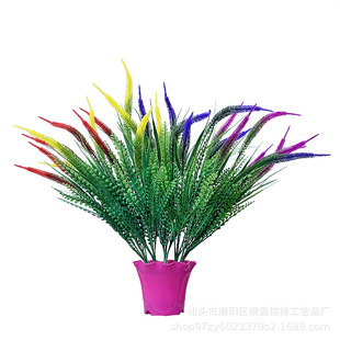 7湷β JȔ ޹² PβϻֲSl