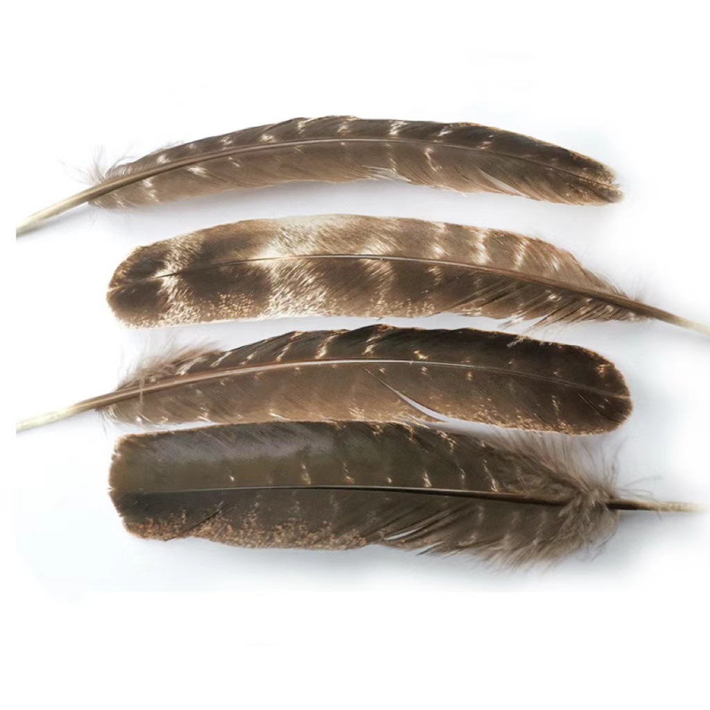 天然の白い鼠の尾の草のアメリカのカリフォルニア州のwhiteageの香薫の杖の雪の松の杖の縛りの空間の卸売りはまたがります。