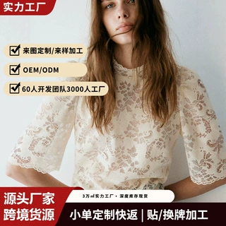 欧美跨境爆款镂空蕾丝上衣女木耳边半高领泡泡袖复古精致通勤衬衫