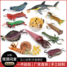 ���溣�����ģ�̓�ͯ����h�����r�W�^�����~�xֱ��ʯƤƤ�r�[��