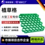 市政绿化园林小区植草格