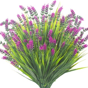 ���R�d����޹�²ݼٻ��Gֲ�Ҿ��b��Ӳ����촺��޹�²�ֲ�ﻨ