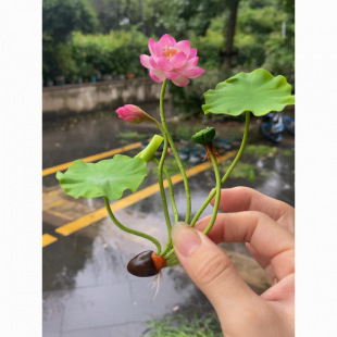 ˮ��ֲ����ɏ�����҃Ȼ����B�ļ��_���N����ˮ�B�ɻ����Կ͏d˯ɏ