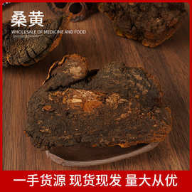 西藏岩桑黄 野生特级桑黄片 金边桑黄500g