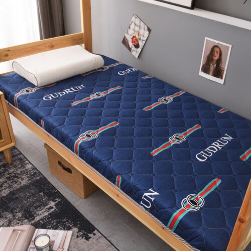 2024 Student Version Dormitory Washable Cotton Skin-friendly Thickened Antibacterial Mattress Soft Pad Double Bedding 