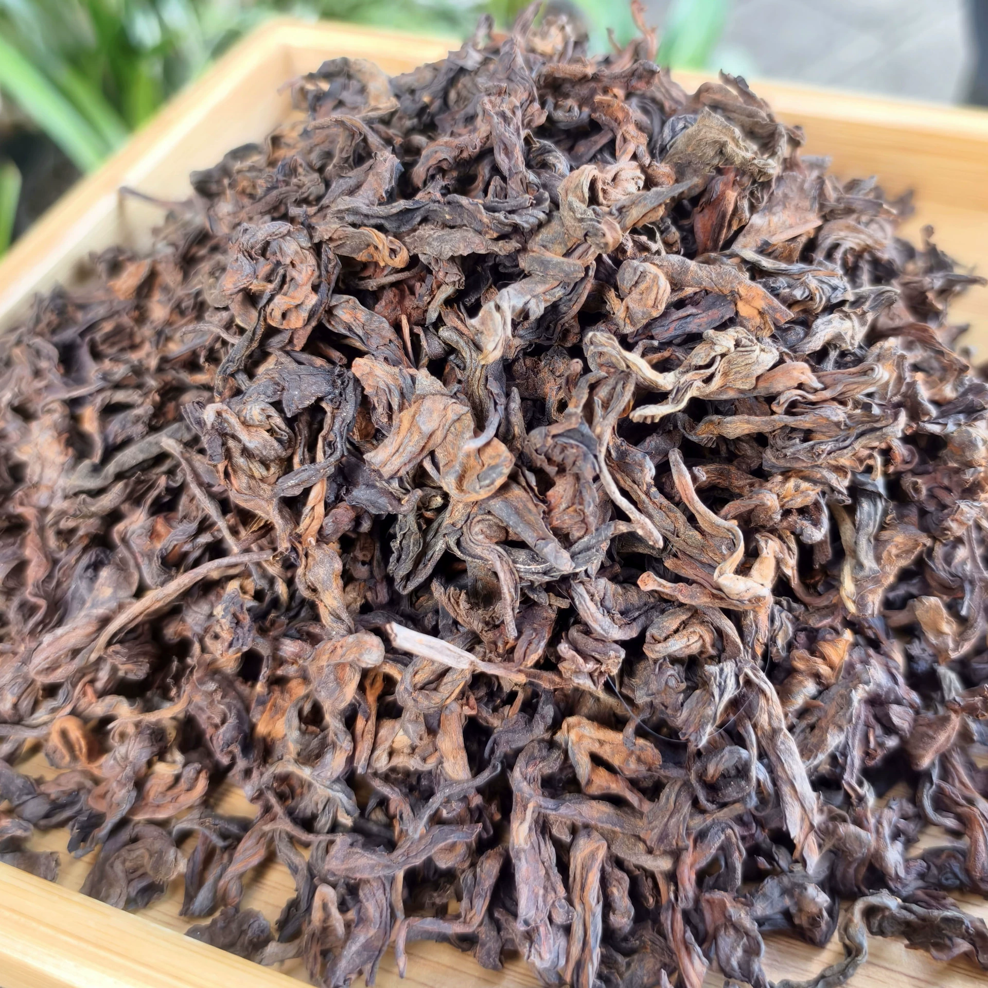 Производители происхождения прямо одобряют нематериальные культурные наследники древних деревьев до династии Мин