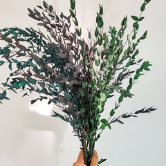 Eternal Fine Leaf Eucalyptus Scented Candle Yunnan Manufacturer Eternal Flowers Home Decor Cross-border Dried Flowers Small Sharp Leaves