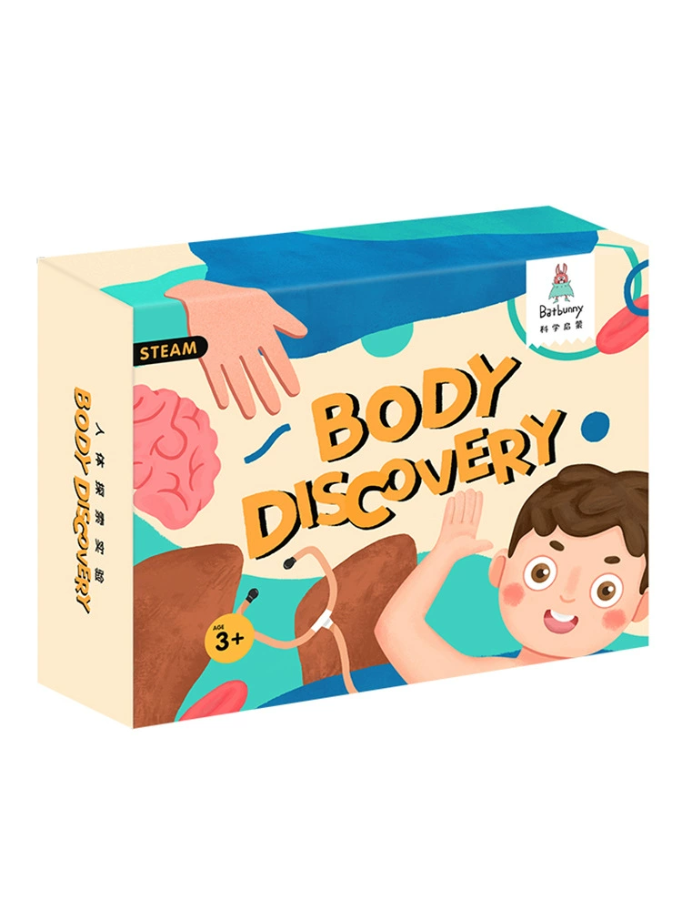 Physiological material for experiments, toy for elementary school students, handmade, science, body organs