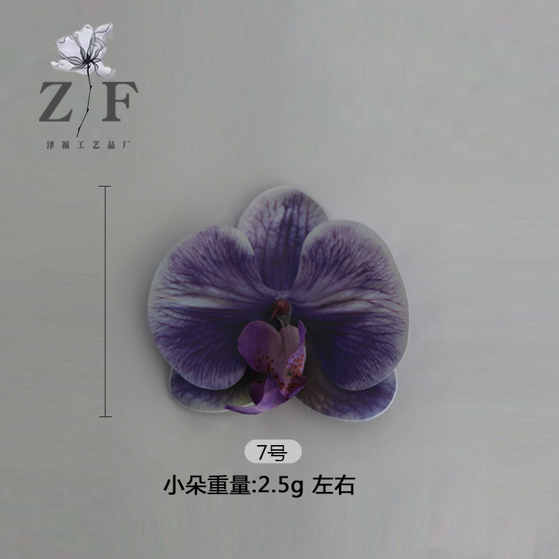 7호(소)