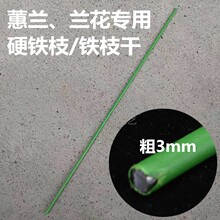 �����m֧�ܾGɫ����ֲ�����͹̶������F�z��ޥ�m3mm�F֦���]