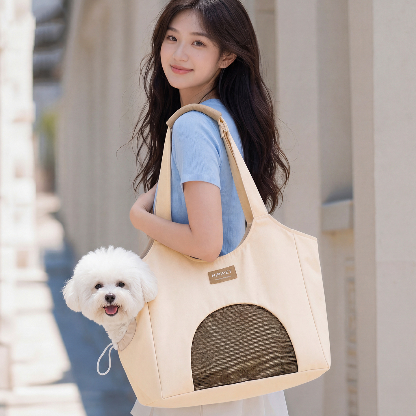 Bolsa de lona de primavera y verano simple, bolsa de perro pequeña y media, bolsa de gato, bolsa de hombro transpirable, bolsa de mano para mascotas.