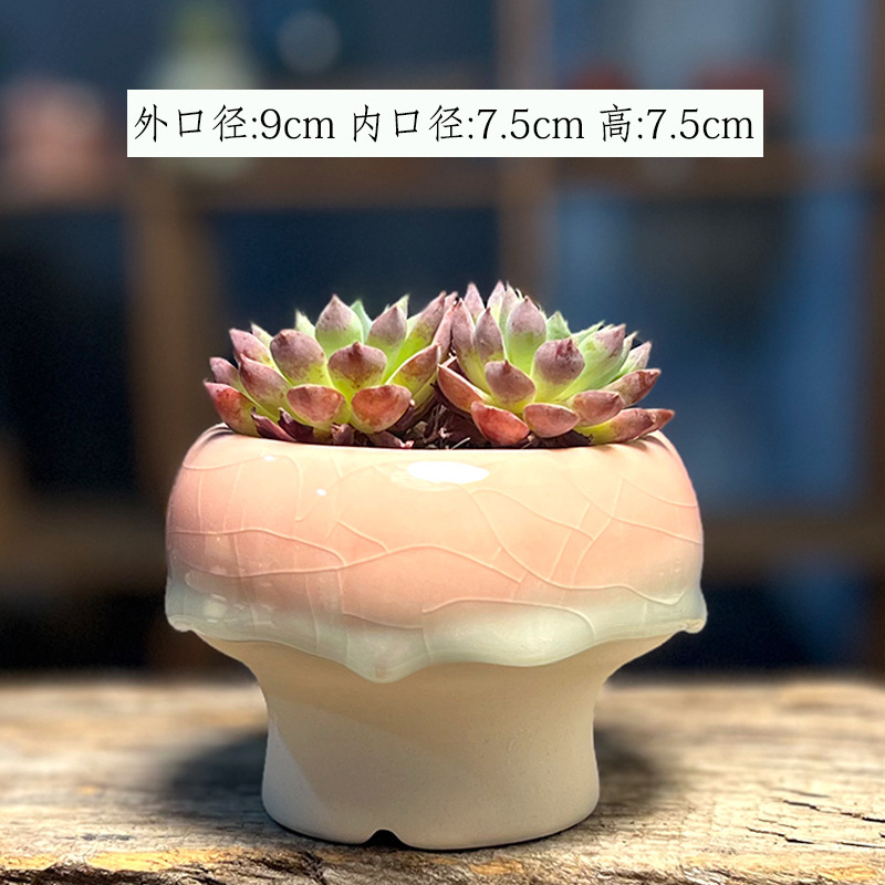 多肉盆栽の植木鉢の創意的な家庭装飾品の釉薬の小さい鍋の氷が割れています。|undefined