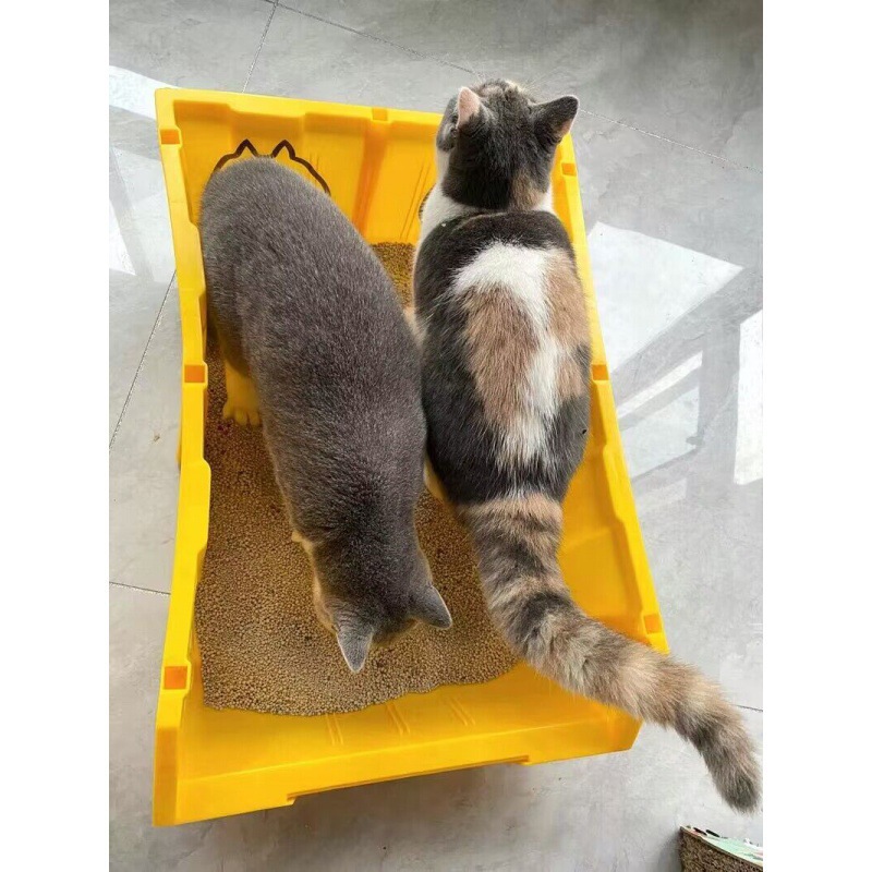 Cat Sandbowl, Maine, gran tamaño, gran volumen de trabajo, gran tamaño abierto