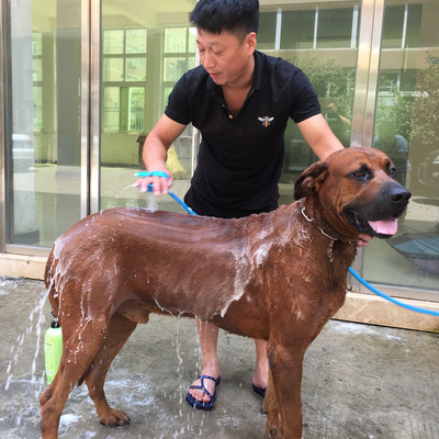 O1CN01LoFVZE1M9a2F9FHhT_!!3483