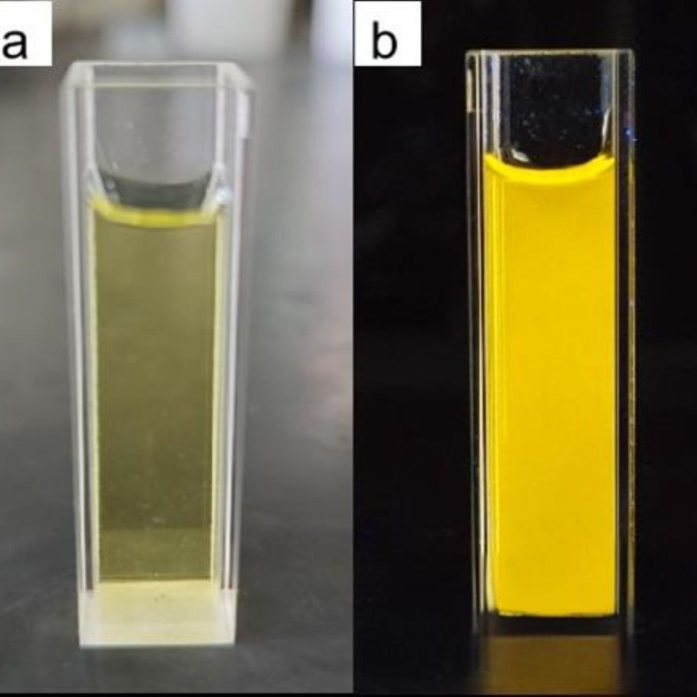 水溶性黄光碳量子点粉末用于生物标记复合材料光电器件荧光材料等
