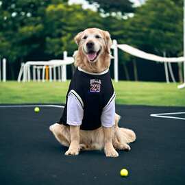 狗狗衣服大型犬薄款金毛拉布拉多杜宾假两件球服大狗衣服夏季衣服